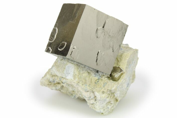 Natural Pyrite Cube In Rock - Navajun, Spain #265328